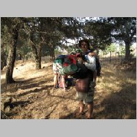20080626180132.jpg