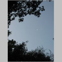 20080627053713.jpg