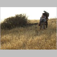 20080627185845.jpg