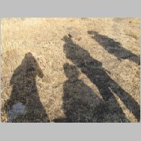 20080628075232.jpg