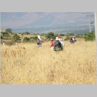 20080628082543.jpg