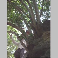 20080628094251.jpg