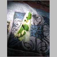 20080628143249.jpg