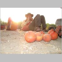 20080628185925.jpg