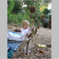 20080629065442.jpg
