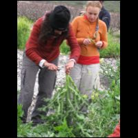 20090320083057.jpg
