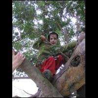 20090320114437.jpg