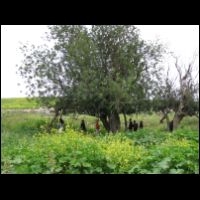 20090320115507.jpg