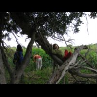 20090320115618.jpg