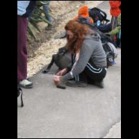 20090320122343.jpg