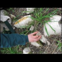20090320130848.jpg