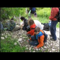 20090320132149.jpg
