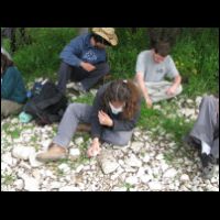 20090320132313.jpg