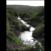 20090320155559.jpg
