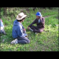 20090320163139.jpg