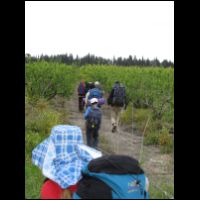 20090321094245.jpg