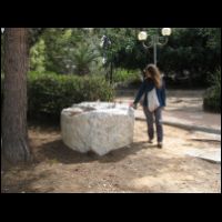 20090321102524.jpg