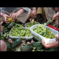 20090425143127.jpg
