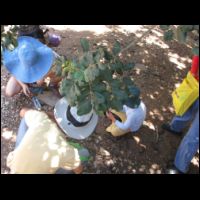 20090717105456.jpg