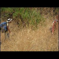 20090717124532.jpg