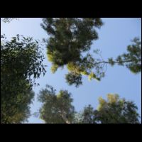 20090718060030.jpg