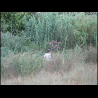 20090718173651.jpg