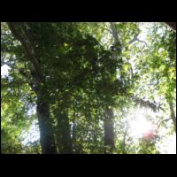 20090720160158.jpg