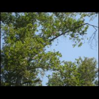 20090721092929.jpg