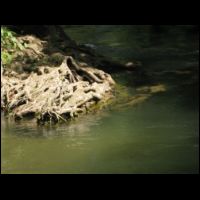 20090721093403.jpg