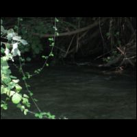 20090721093428.jpg