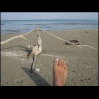 20091025074222.jpg