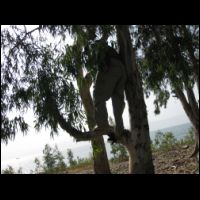 20091025132028.jpg