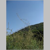 20080312150556.jpg