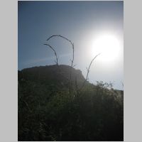 20080312150608.jpg