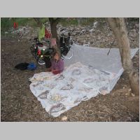 20080313174258.jpg