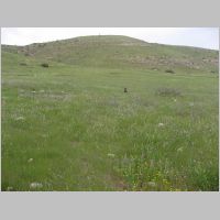20080314074203.jpg