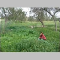 20080314150910.jpg