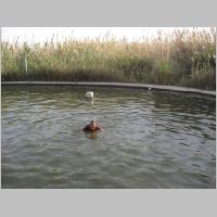 20080316153550.jpg