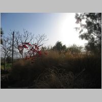 20080323070049.jpg