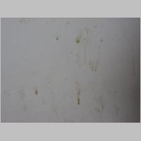 20080401110816.jpg