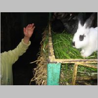 20080403134700.jpg