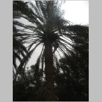 20080409105124.jpg