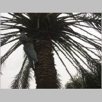 20080409105238.jpg
