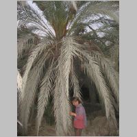 20080409183644.jpg
