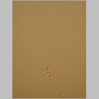 20080412080244.jpg