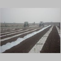20090207123352.jpg
