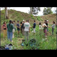 20090424121537.jpg