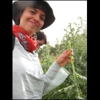 20090424152757.jpg