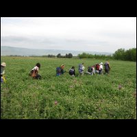 20090424155221.jpg