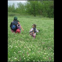 20090424155507.jpg